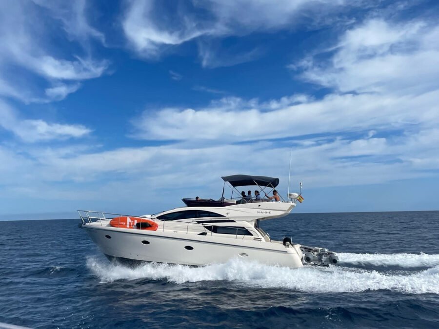 Rodman Muse 44