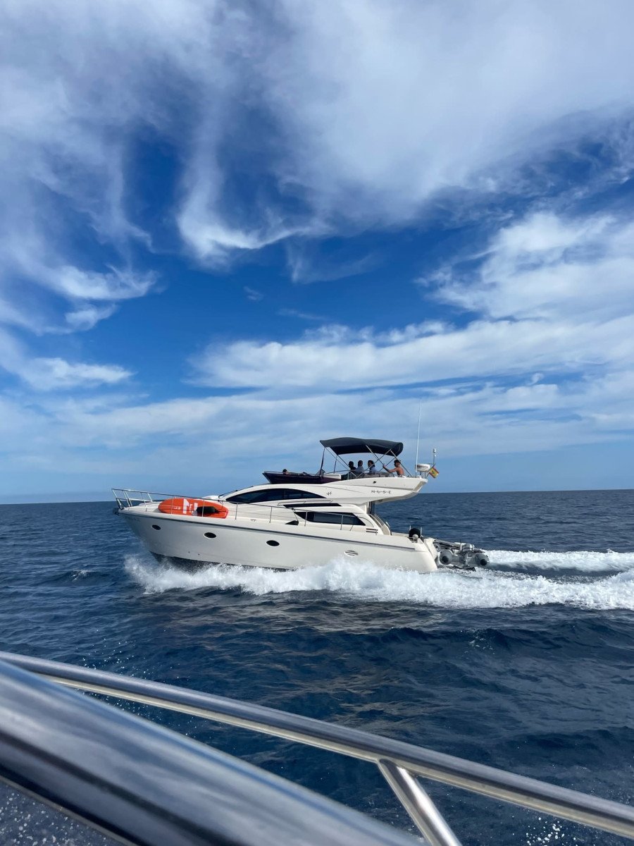 Rodman Muse 44