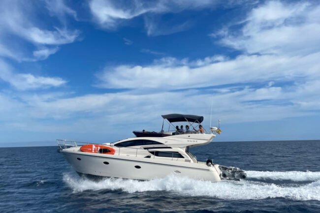 Rodman Muse 44