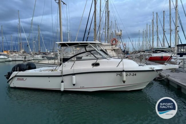 Boston Whaler 285 C – REF 201C